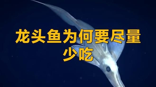 龍魚為何要盡量少吃