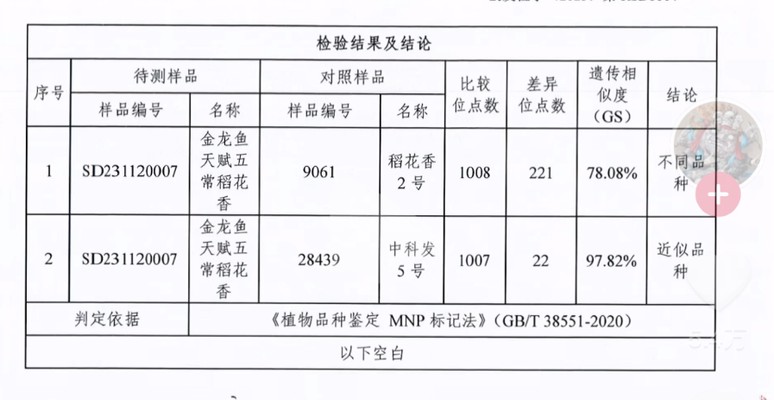 白銀龍魚和銀龍魚（銀龍魚和白金龍魚）