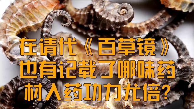 海龍和海馬哪個藥用價值更高？