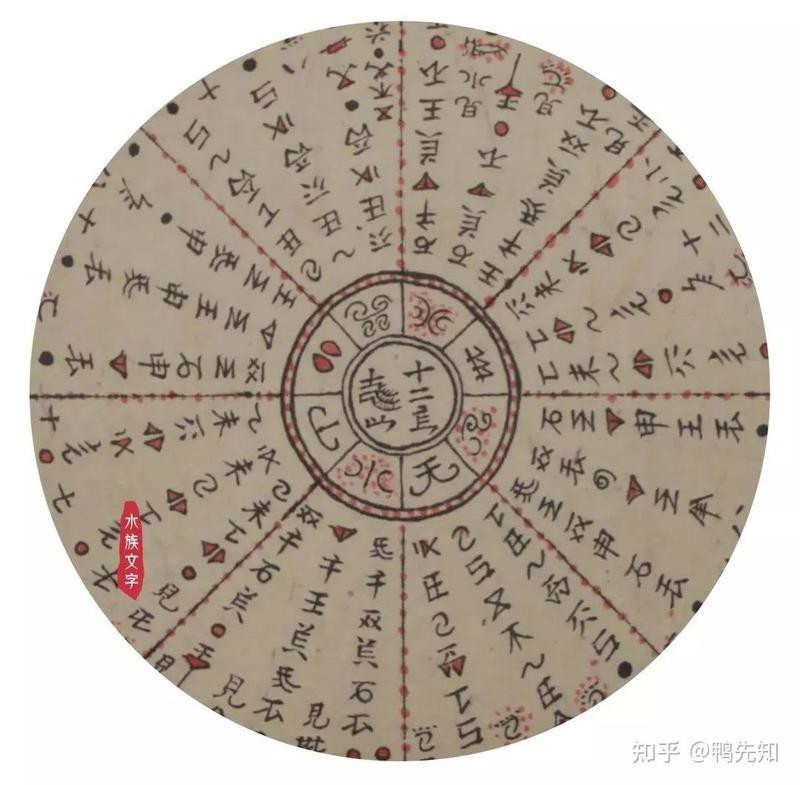 泗水紅龍魚品質怎么樣呀：泗水紅龍魚品質怎么樣呀？深度解析泗水紅龍魚的品相與價值