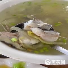龍頭魚的價格是多少
