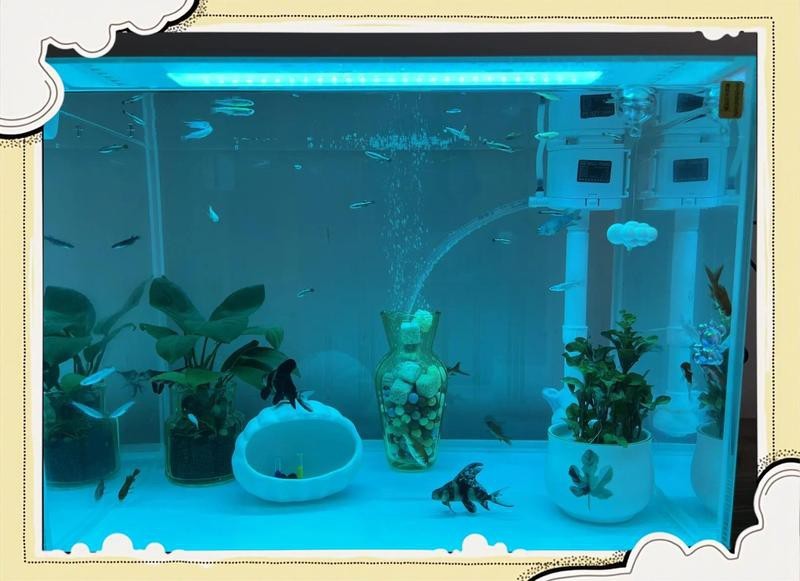 森森魚缸正確安裝方法