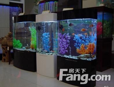 魚缸水泵如何安裝視頻（如何選擇適合的魚缸水泵）