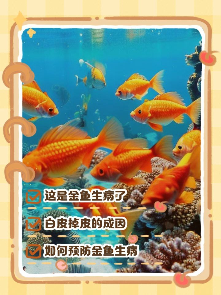 金魚身上起白皮還掉皮