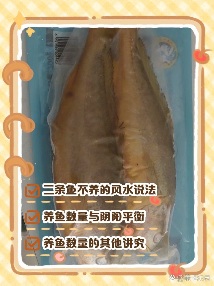 龍魚養2條好風水