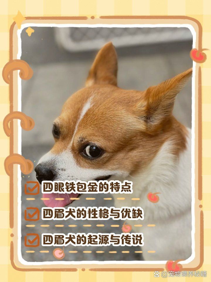 狗頭上有兩個圓點