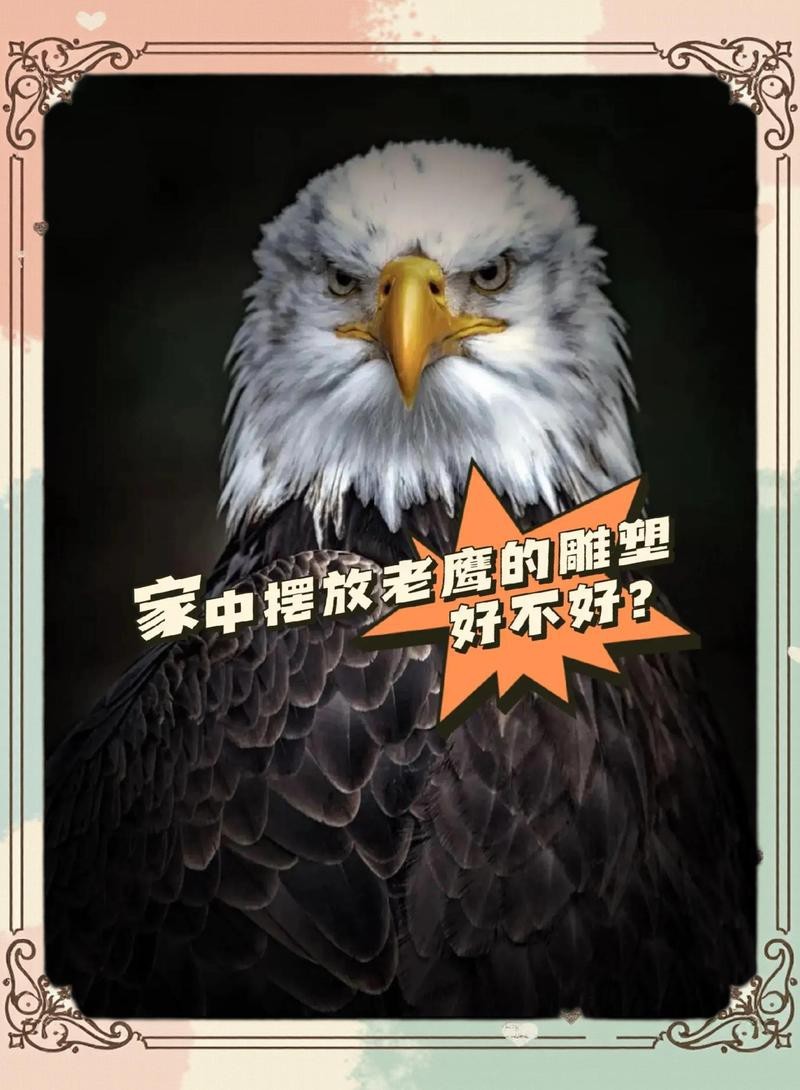 老鷹擺件最忌三個地方