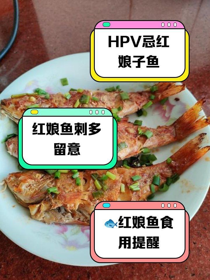 紅娘魚十大忌諱