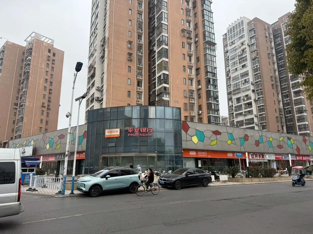 衡水金龍魚新橋北街