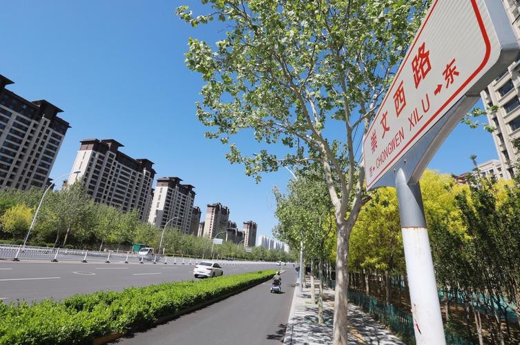 衡水金龍魚新橋北街