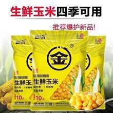 金龍魚餌料