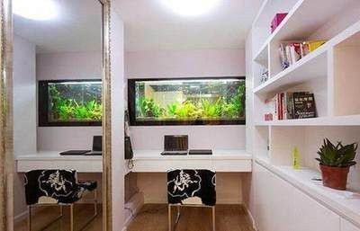 為什么魚喜歡在負壓魚缸里（普通魚缸與負壓魚缸對比）