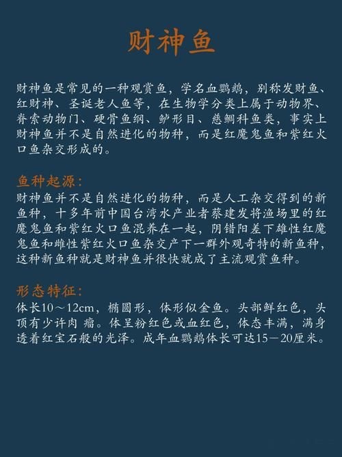 紅財神魚圖片及養殖方法 紅財神魚圖片及養殖方法 龍魚論壇 第21張