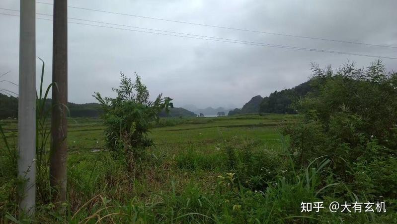 風水在龍的什么位置好