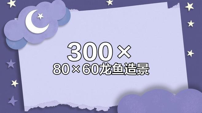 給我一些龍魚魚缸擺放的實(shí)例圖片