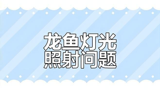 龍魚的光照管理有哪些技巧？ 龍魚的光照管理有哪些技巧？ 龍魚論壇 第5張