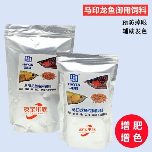 高背金龍魚發色技巧