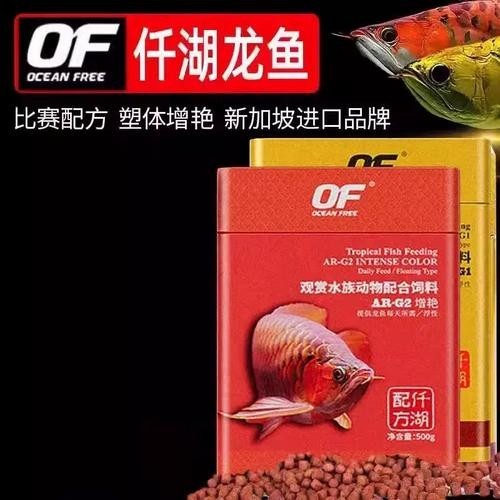 高背金龍魚發色技巧