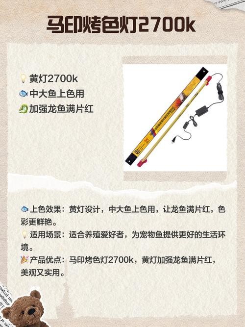 高背金龍魚發色技巧