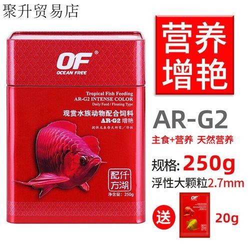 高背金龍魚發色技巧