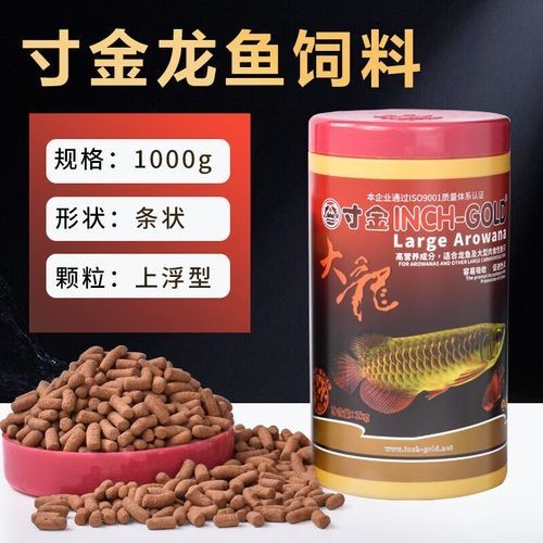 高背金龍魚發色技巧