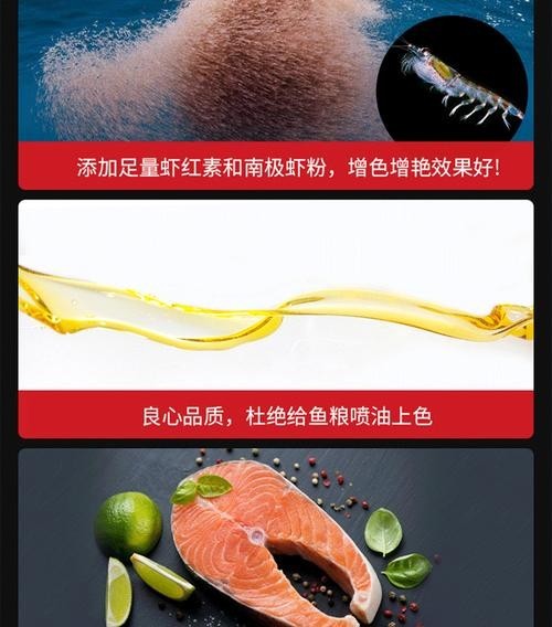 高背金龍魚發色技巧