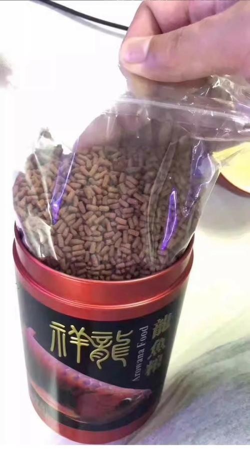 高背金龍魚發色技巧
