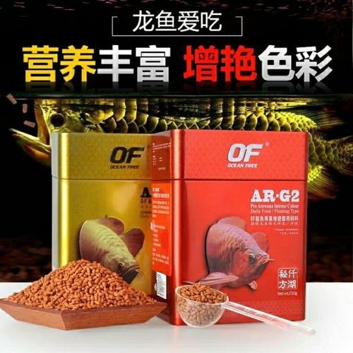 高背金龍魚發色技巧