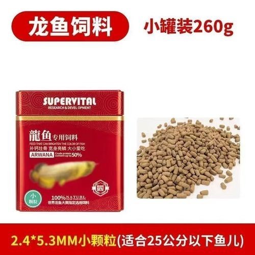 高背金龍魚發色技巧