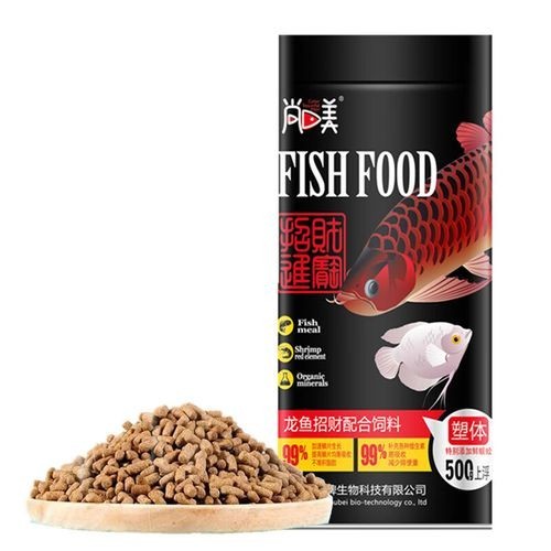 高背金龍魚發色技巧