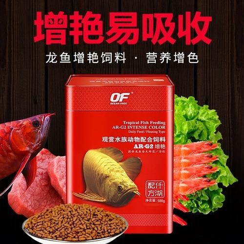高背金龍魚發色技巧