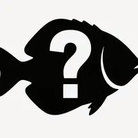壽命最長(zhǎng)的觀賞魚(yú)