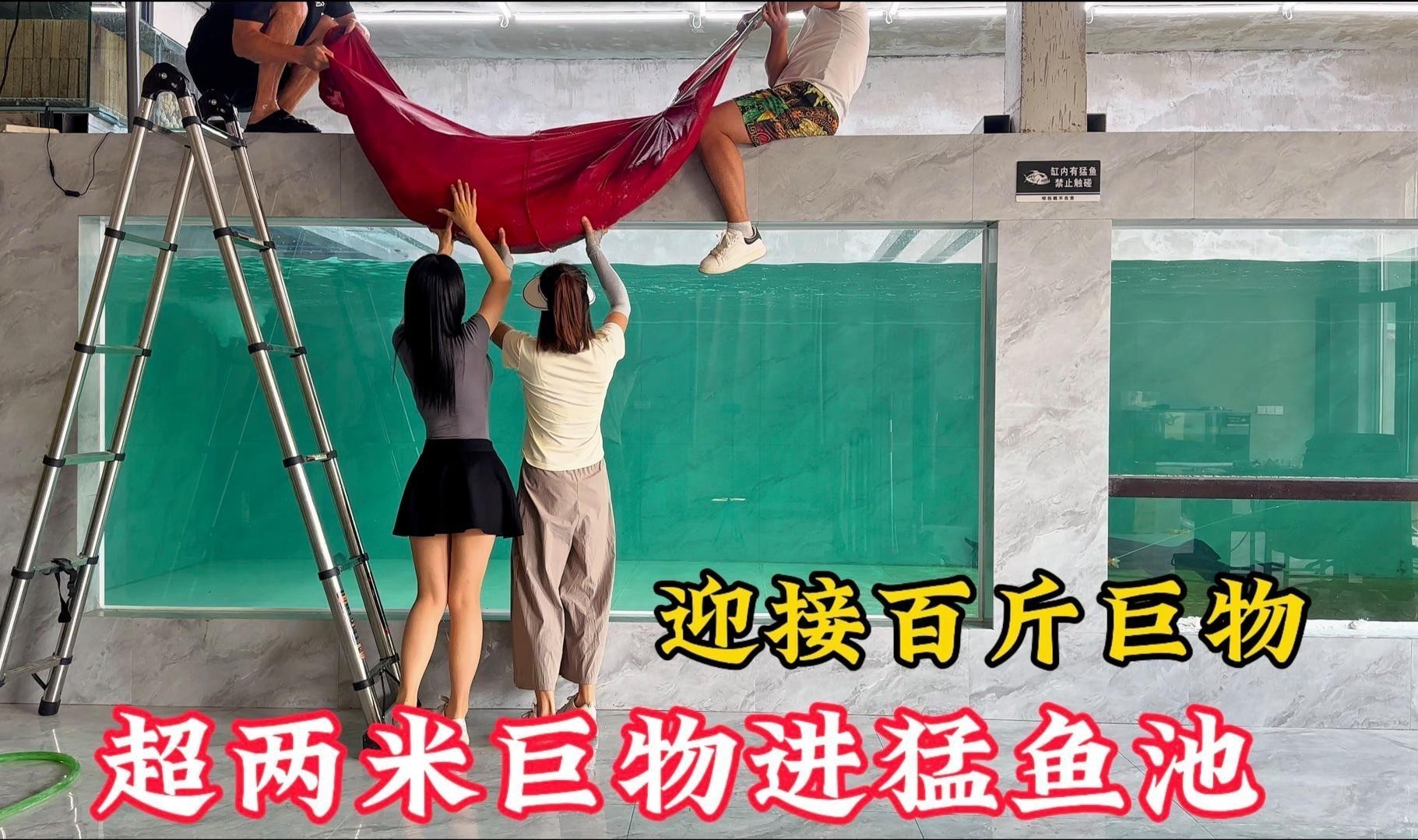 愛養魚龍龍有哪些代表作品？