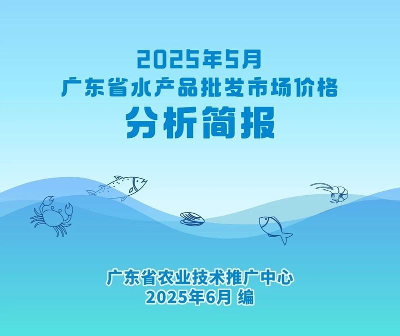 水鼻子魚價格表2025
