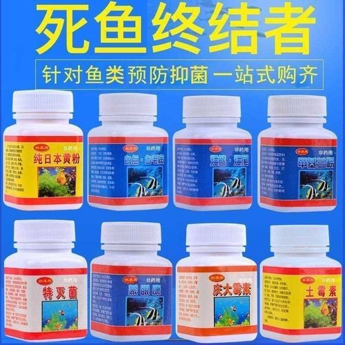 龍魚(yú)身上有白色絮狀物用什么藥好呢圖片