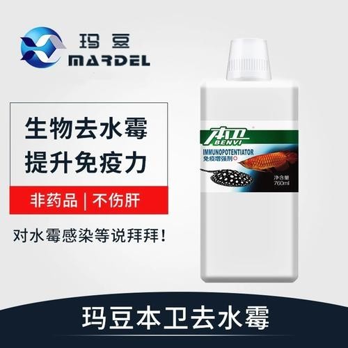 龍魚(yú)身上有白色絮狀物用什么藥好呢圖片