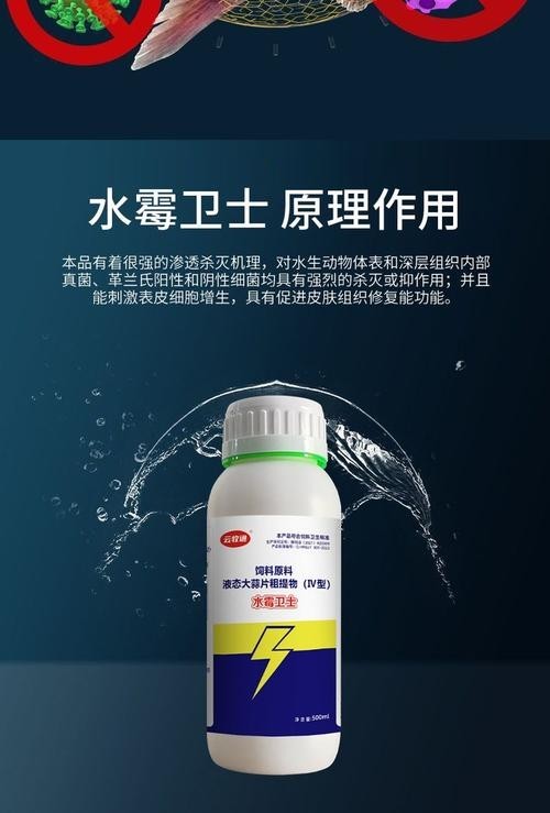 龍魚(yú)身上有白色絮狀物用什么藥好呢圖片