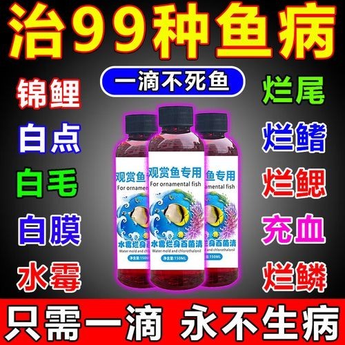 龍魚(yú)身上有白色絮狀物用什么藥好呢圖片