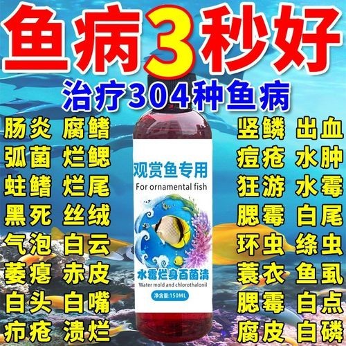龍魚(yú)身上有白色絮狀物用什么藥好呢圖片