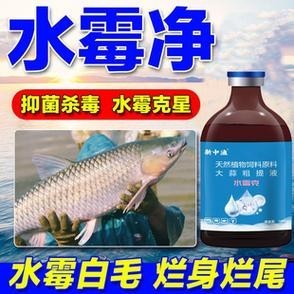 龍魚(yú)身上有白色絮狀物用什么藥好呢圖片