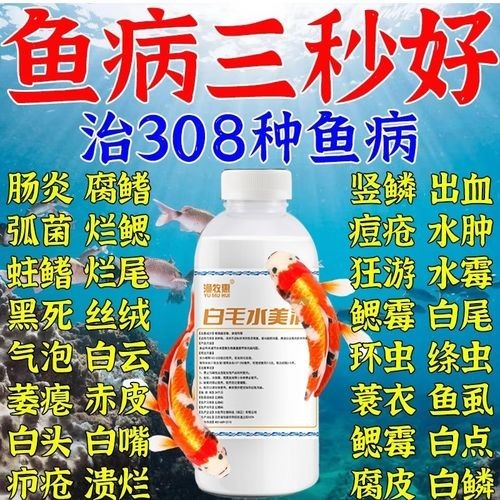 龍魚(yú)身上有白色絮狀物用什么藥好呢圖片