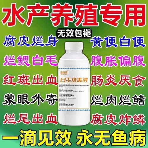 龍魚(yú)身上有白色絮狀物用什么藥好呢圖片