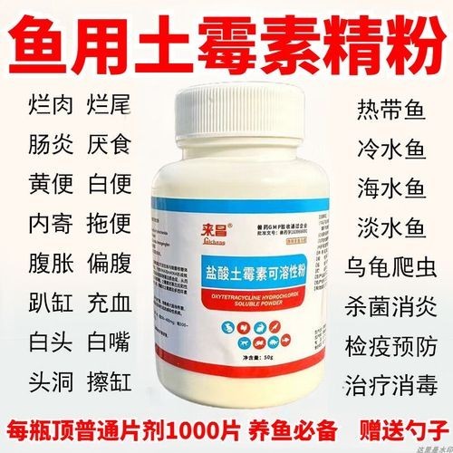 龍魚(yú)身上有白色絮狀物用什么藥好呢圖片