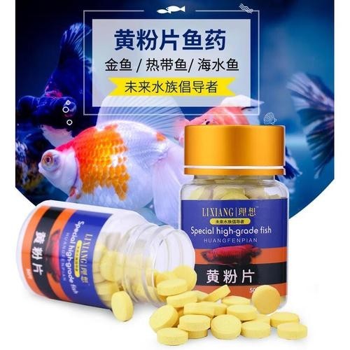 龍魚(yú)身上有白色絮狀物用什么藥好呢圖片