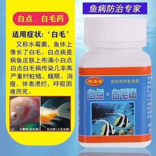 龍魚(yú)身上有白色絮狀物用什么藥好呢圖片