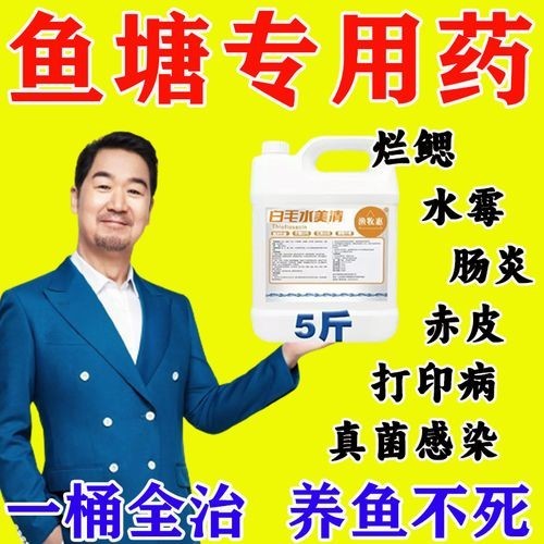 龍魚(yú)身上有白色絮狀物用什么藥好呢圖片