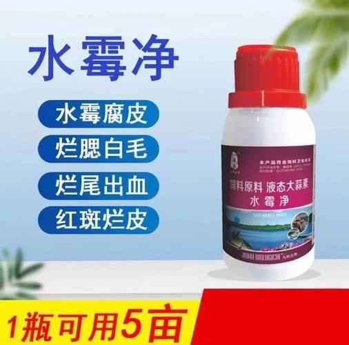 龍魚(yú)身上有白色絮狀物用什么藥好呢圖片