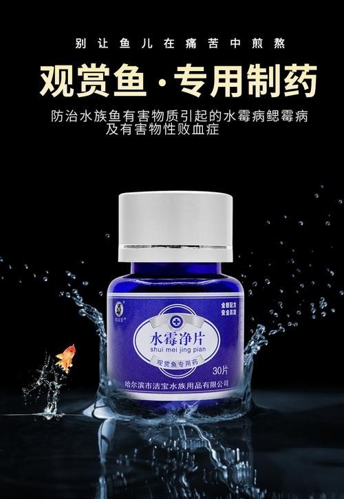 龍魚(yú)身上有白色絮狀物用什么藥好呢圖片