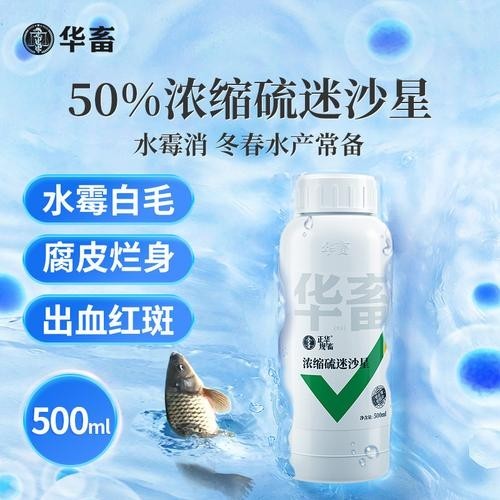 龍魚(yú)身上有白色絮狀物用什么藥好呢圖片