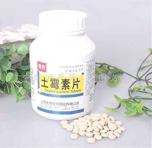 龍魚下土霉素藥三天
